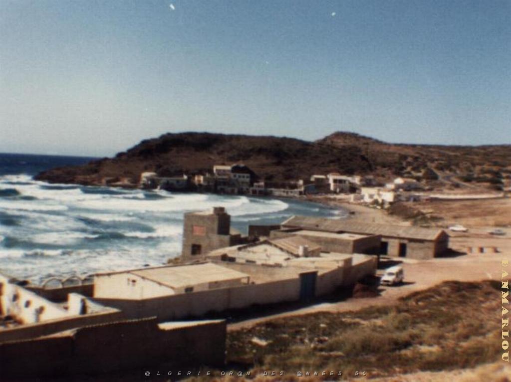 les corales.JPG